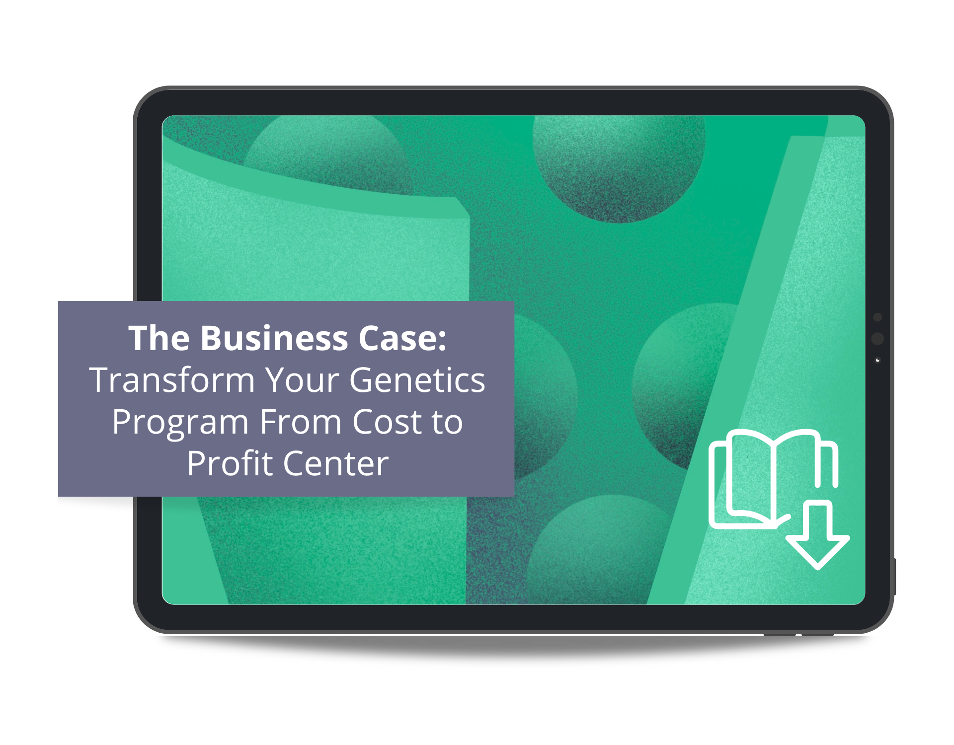 eBook Mockup: The Business Case