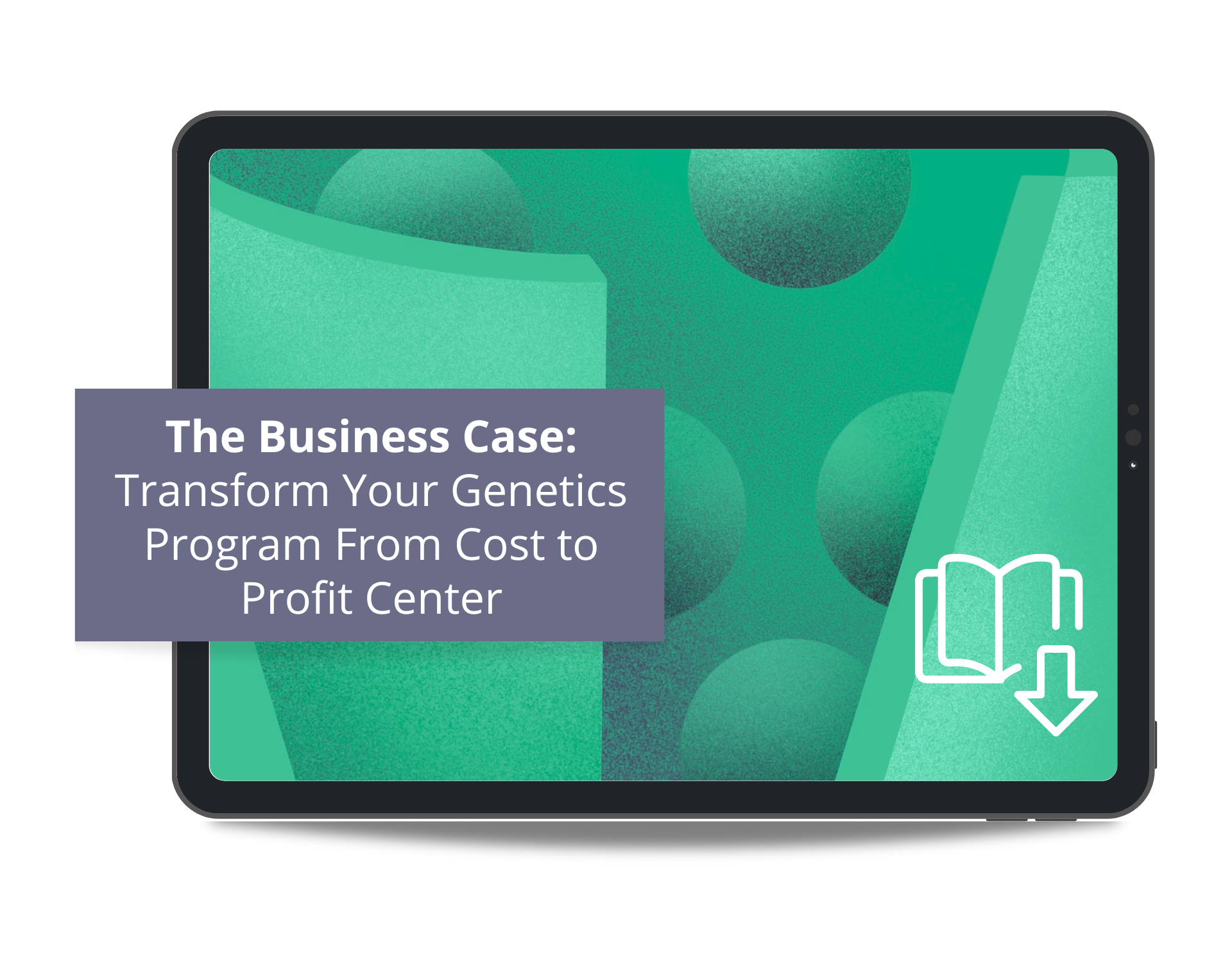 eBook Mockup: The Business Case